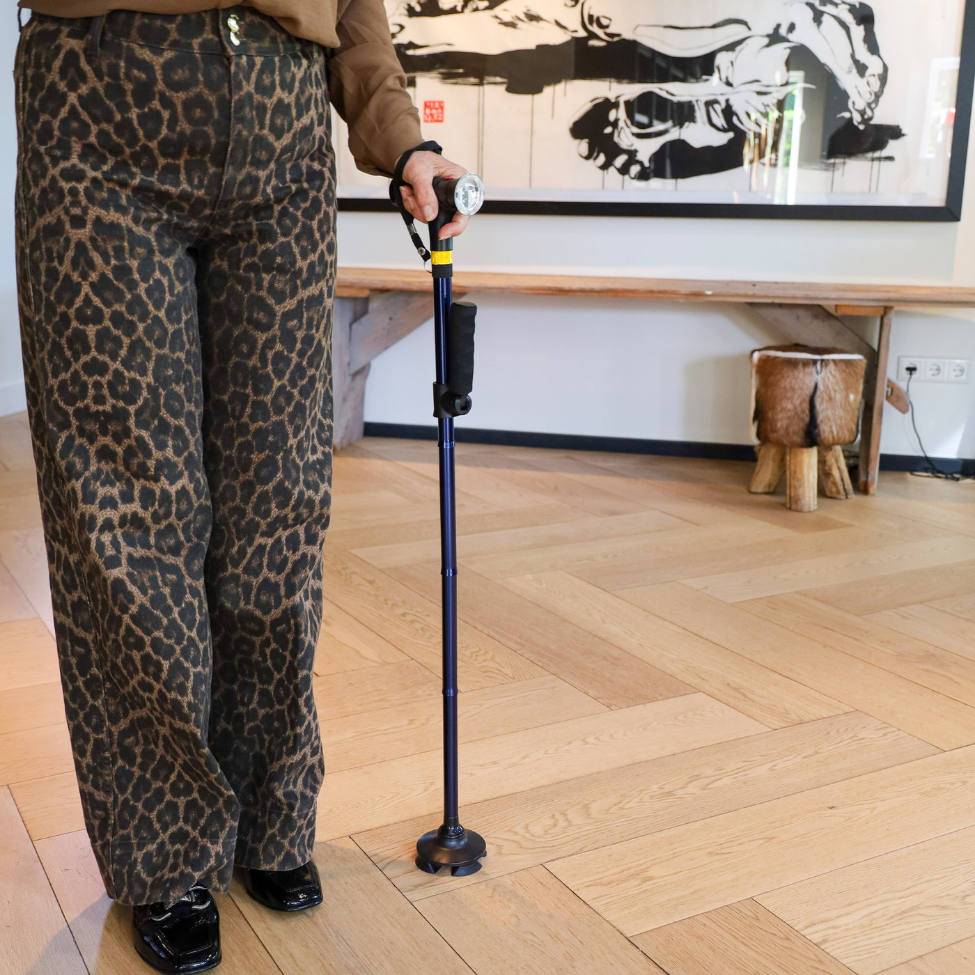 DR-HO's Get Up & Go Cane