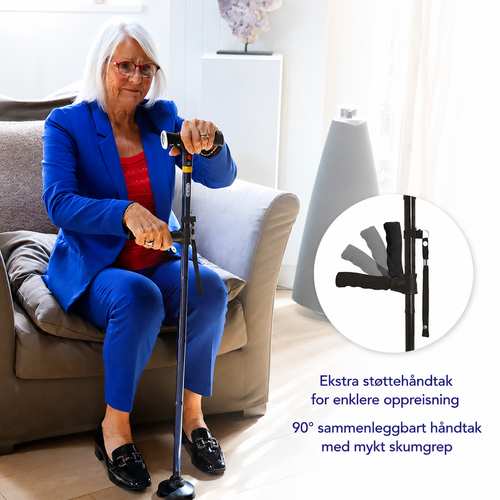 DR-HO's Get Up & Go Cane